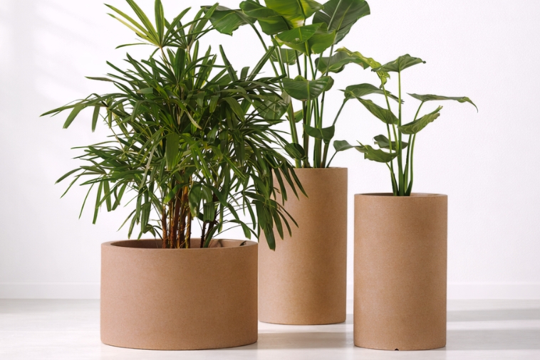 Donice walce Monumo Cavo i Alto mokka